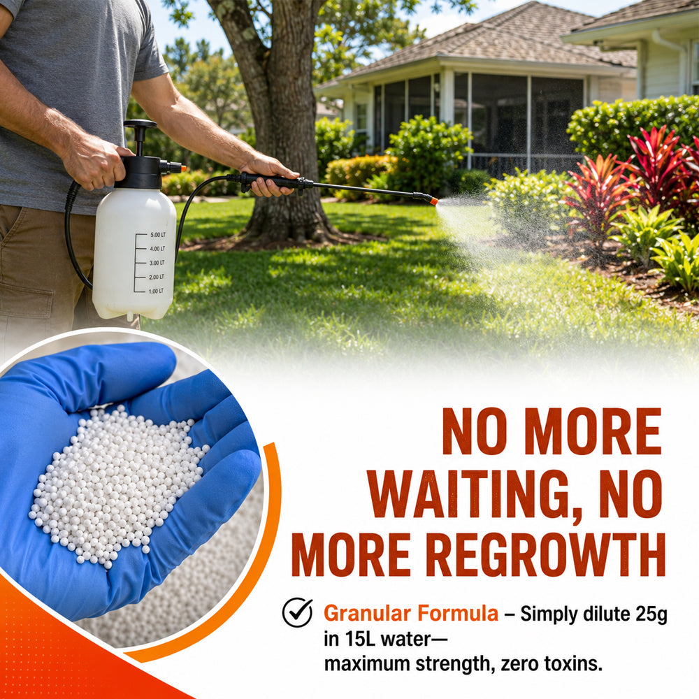 🔥Vigoro® Advanced 2-in-1 Pro+ Herbicide | Upgraded Formula for 6-Hour Rapid Kill, Root Eradication & Destroys Glyphosate-Resistant Weeds ST