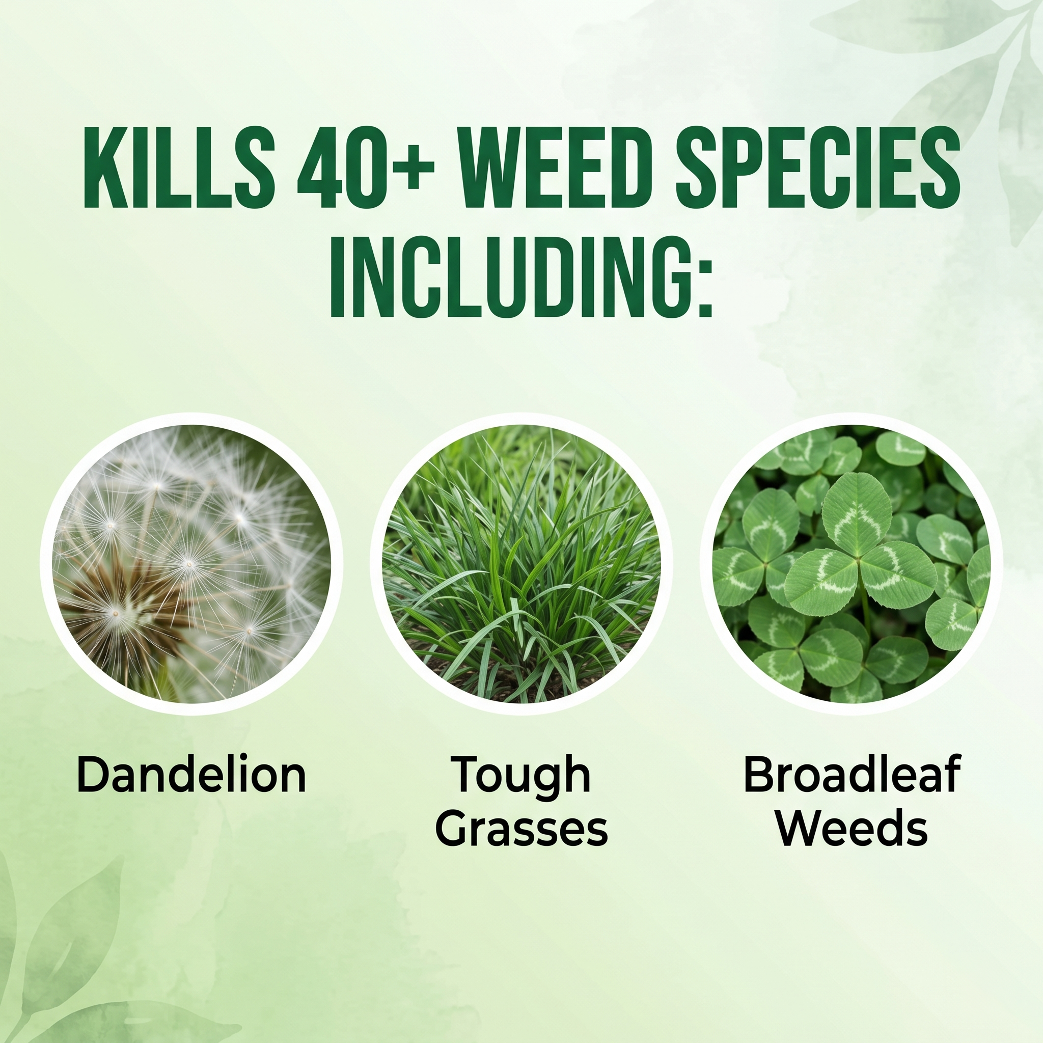 🔥Vigoro® Advanced 2-in-1 Pro+ Herbicide | Upgraded Formula for 6-Hour Rapid Kill, Root Eradication & Destroys Glyphosate-Resistant Weeds ST