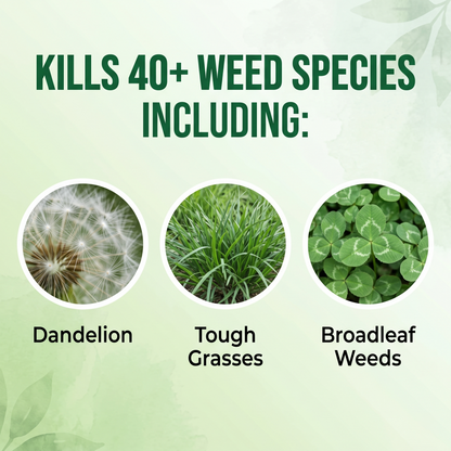 Vigoro™ Weed Killer — Kills Weeds Down to the Root
